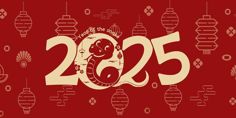 2025央視春晚直播平臺